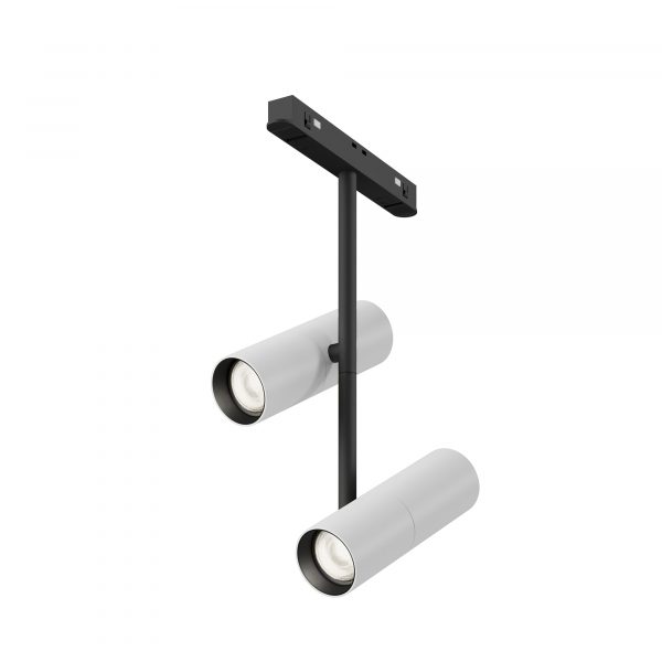 RENDER_TR005-4-2X12W-DS-BW_on_w_standard