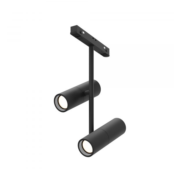 RENDER_TR005-4-2X12W-DS-B_on_w_standard