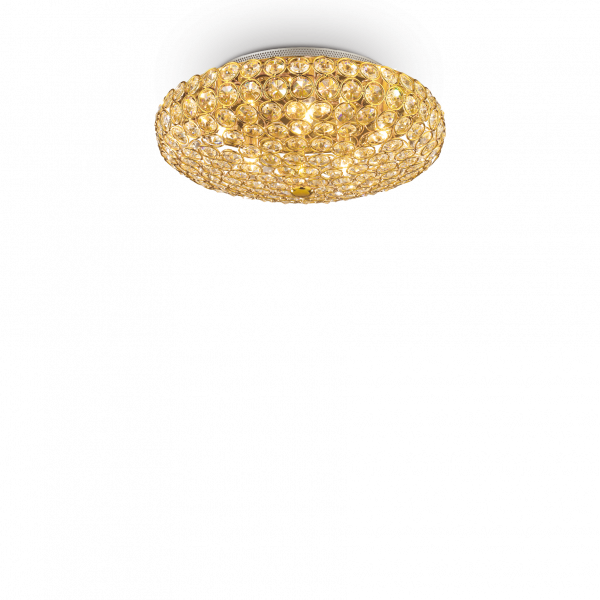 073187_WEB001_KING_PL5_ORO