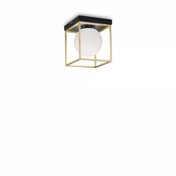 198132_WEB001_LINGOTTO_PL1_OTTONE