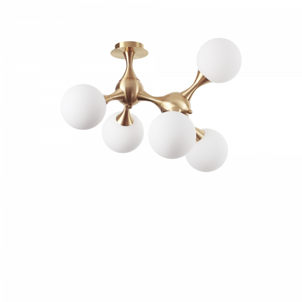 241050_WEB001_NODI_PL5_OTTONE