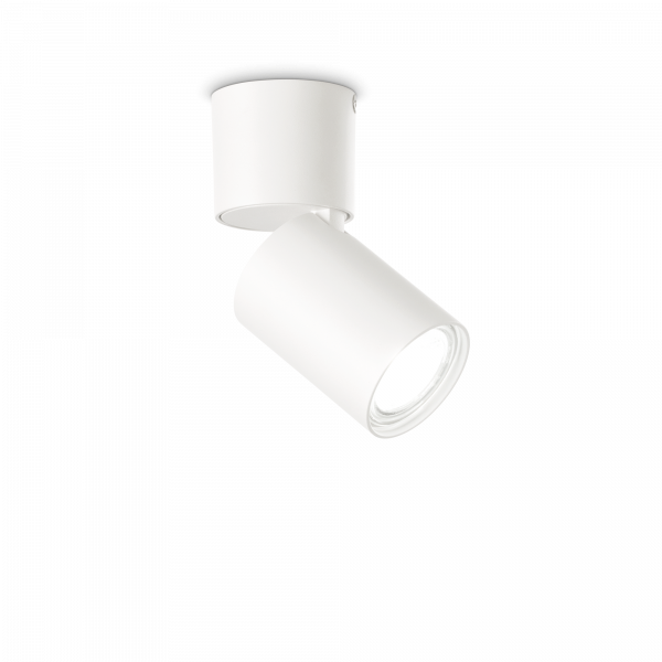 271538_WEB001_TOBY_PL1_BIANCO