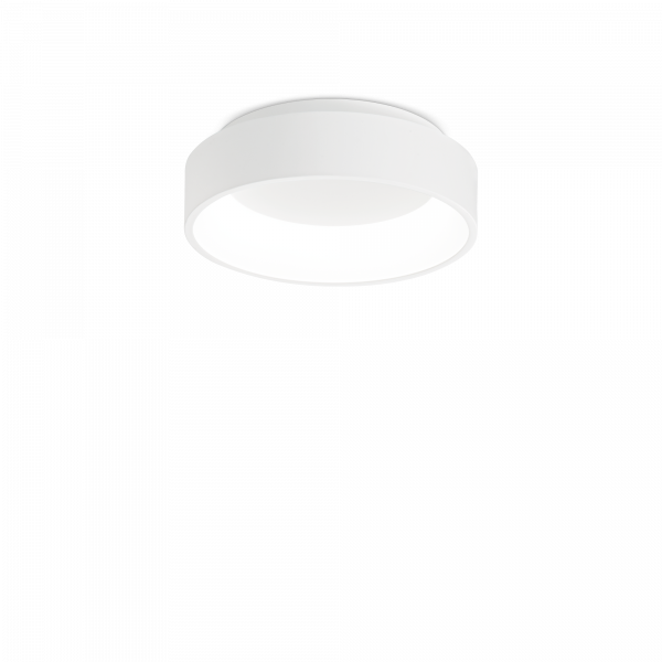 293776_WEB001_ZIGGY_PL_D030_BIANCO
