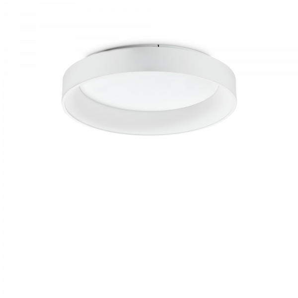 293790_WEB001_ZIGGY_PL_D060_BIANCO