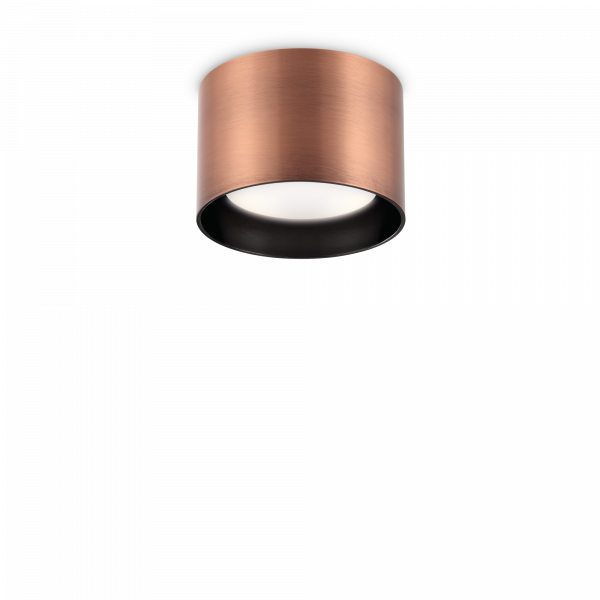 310893_WEB001_SPIKE_PL1_ROUND_RAME