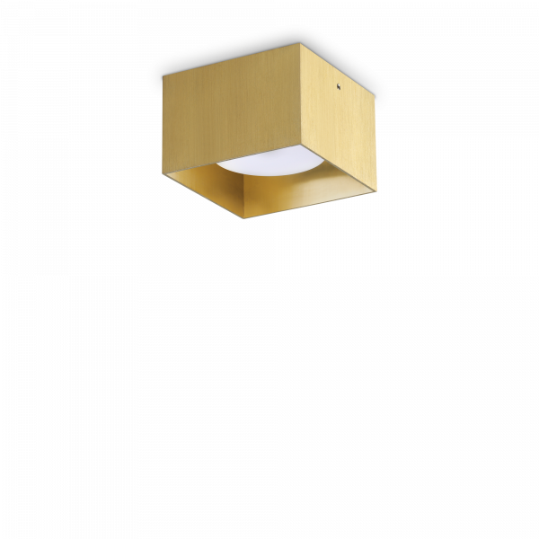 317502_WEB001_SPIKE_PL1_SQUARE_OTTONE