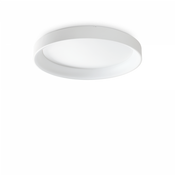 317908_WEB001_ZIGGY_PL_D080_BIANCO